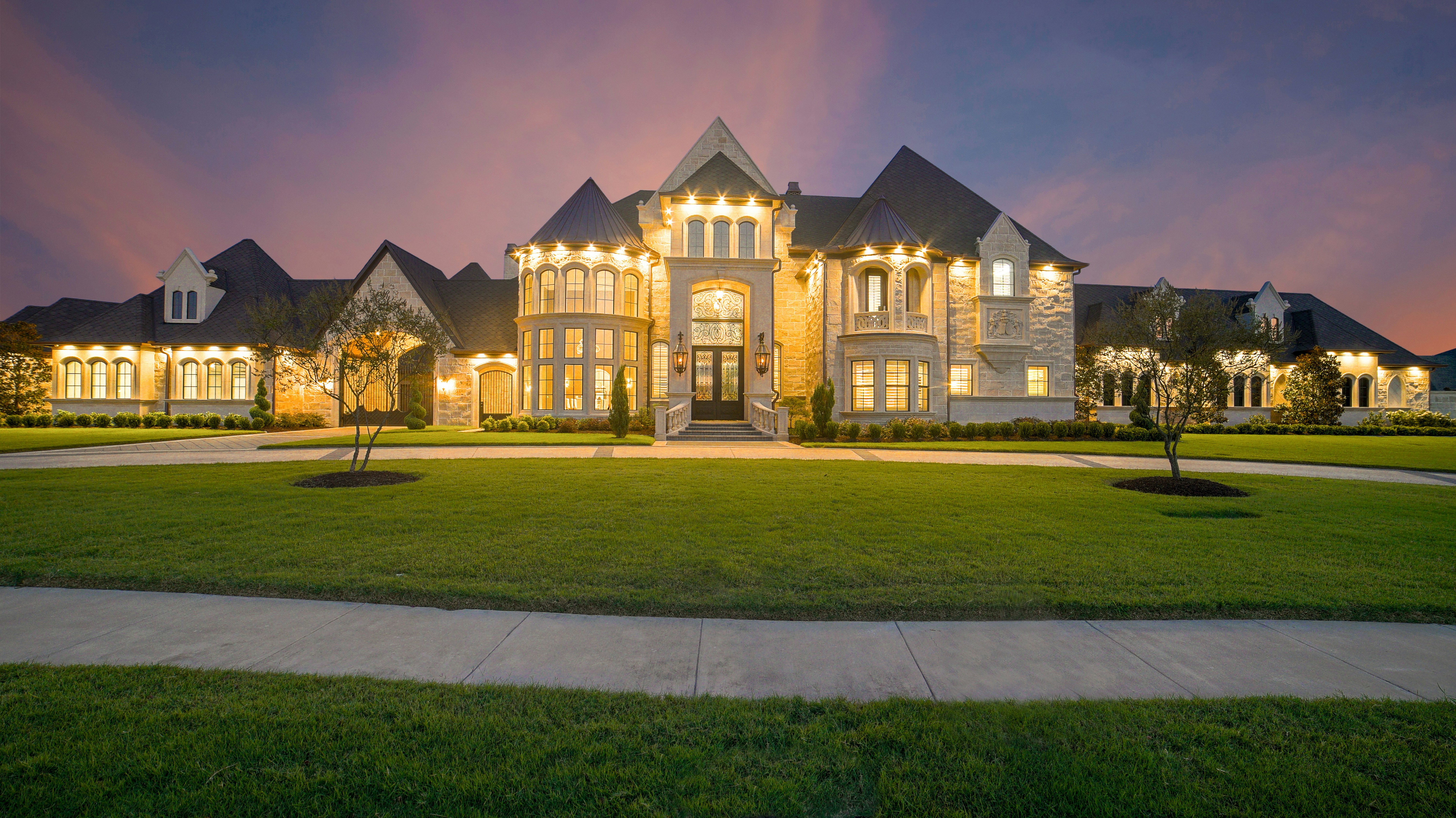 Professional Security Services